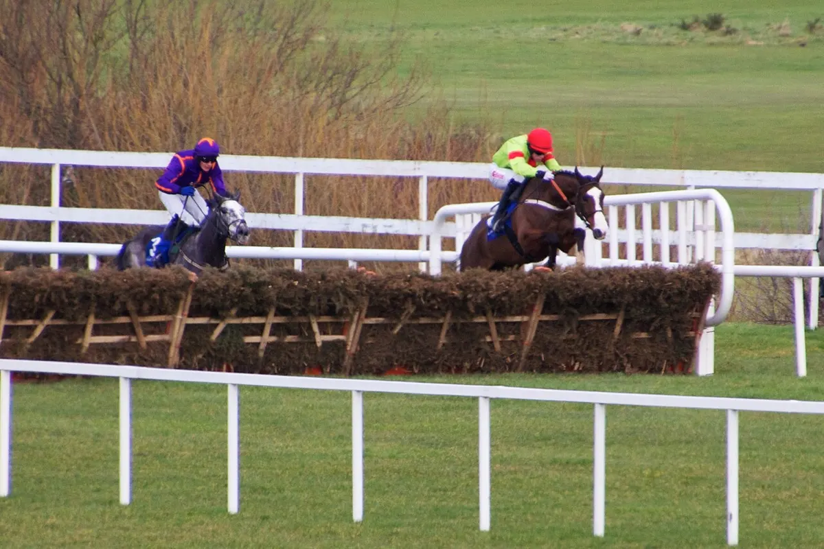 Our Conor leading Diakali over a hurdle at Leopardstown