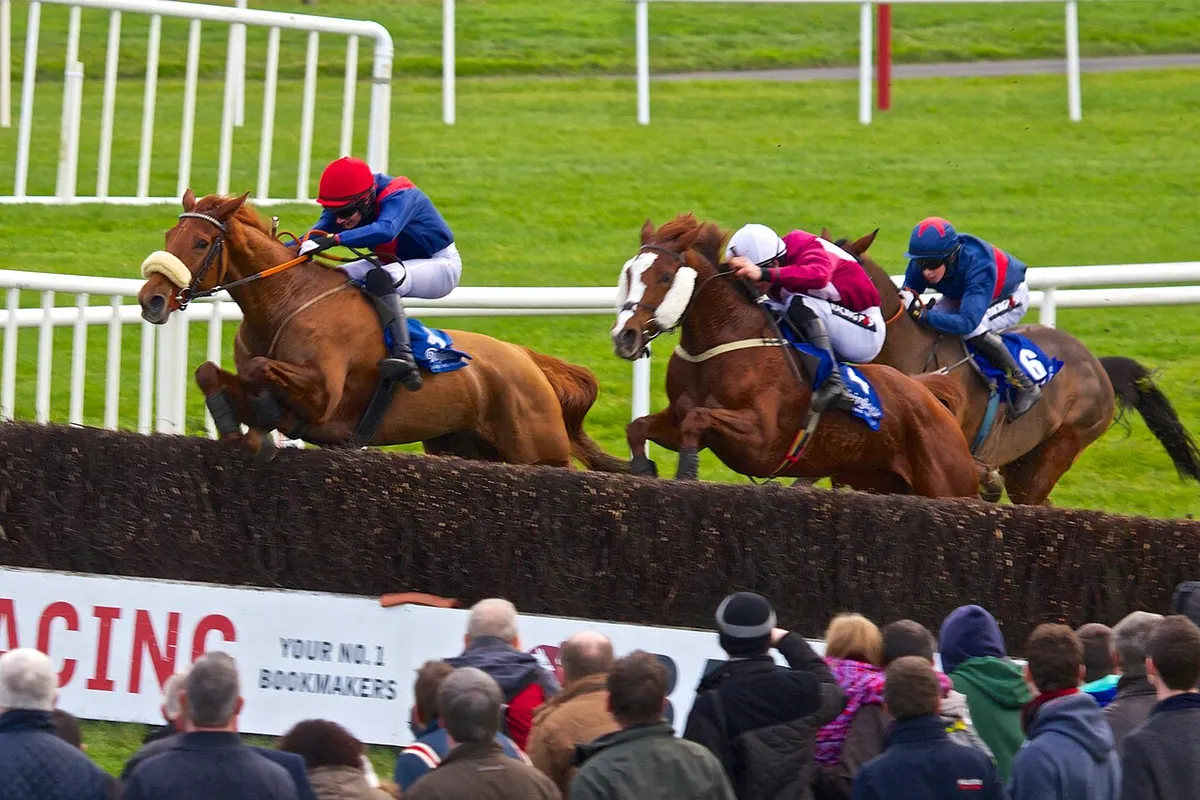 Horses jumping a fence at Fairyhouse racecourse, Co. Meath
