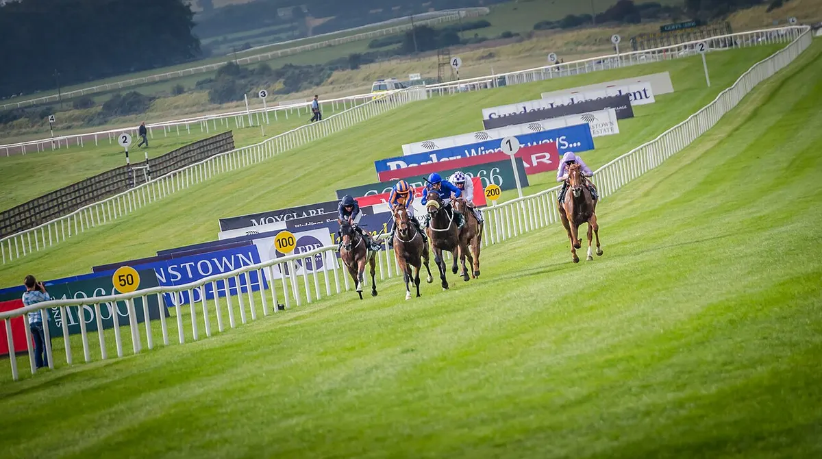 Runners at the finish on the Curragh