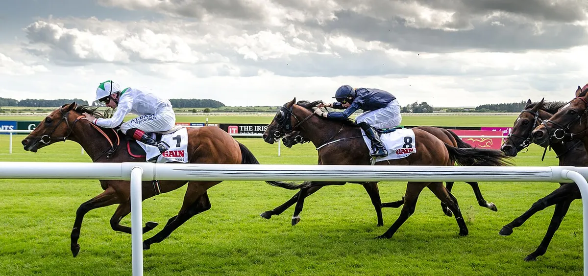 Irish Derby Day 2014 on the Curragh, Co. Kildare