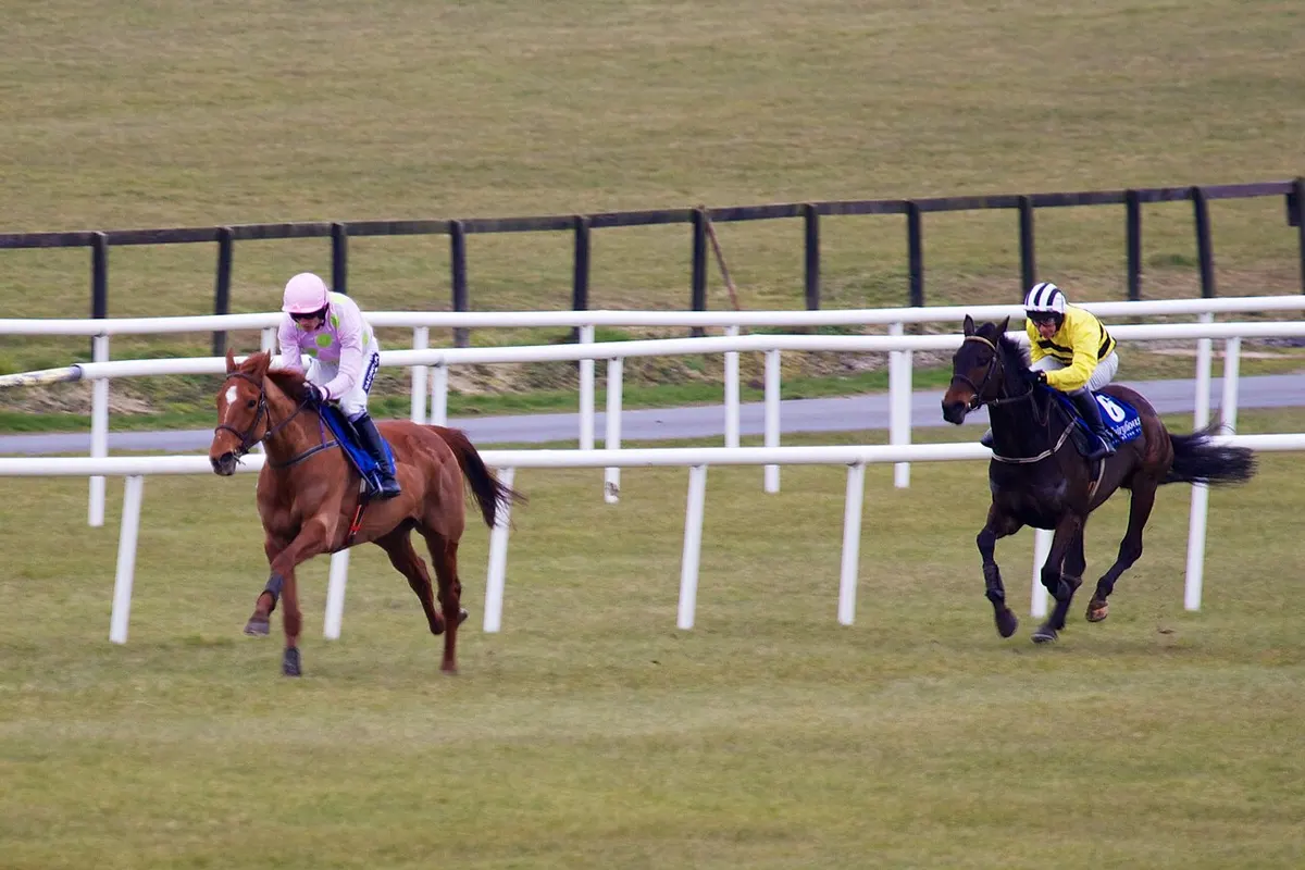 Two runners on the track at Fairyhouse, Co. Meath