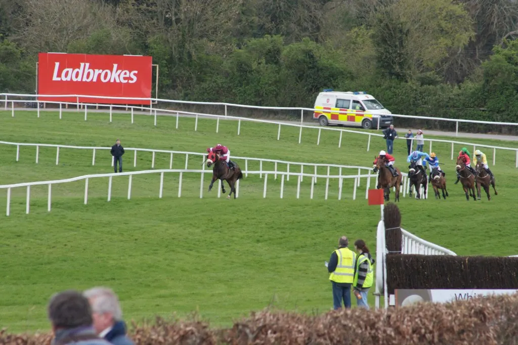 Runners over the fences at Punchestown, Co. Kildare