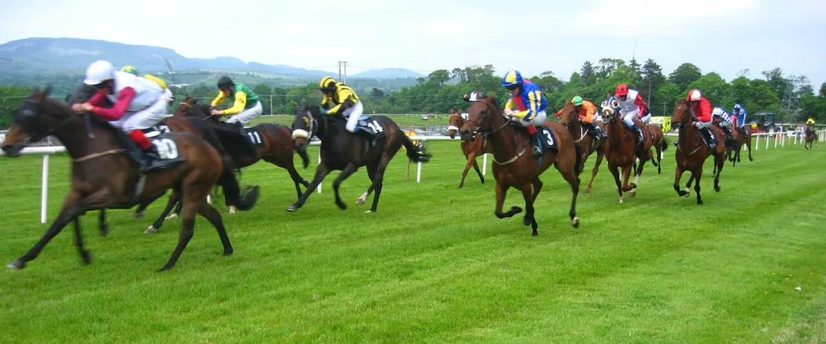 Runners at Sligo races, Cleveragh
