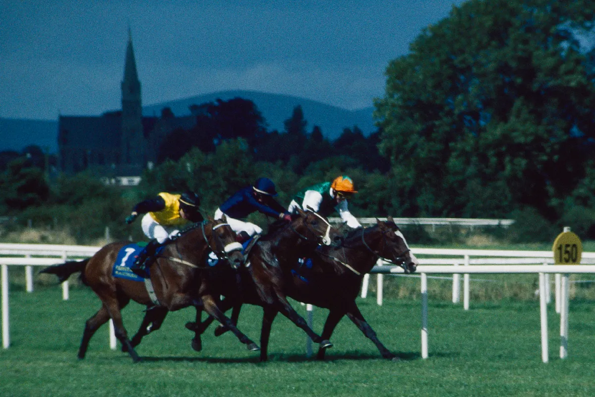 Three runners racing for the finish at Tipperary racecourse, Limerick Junction