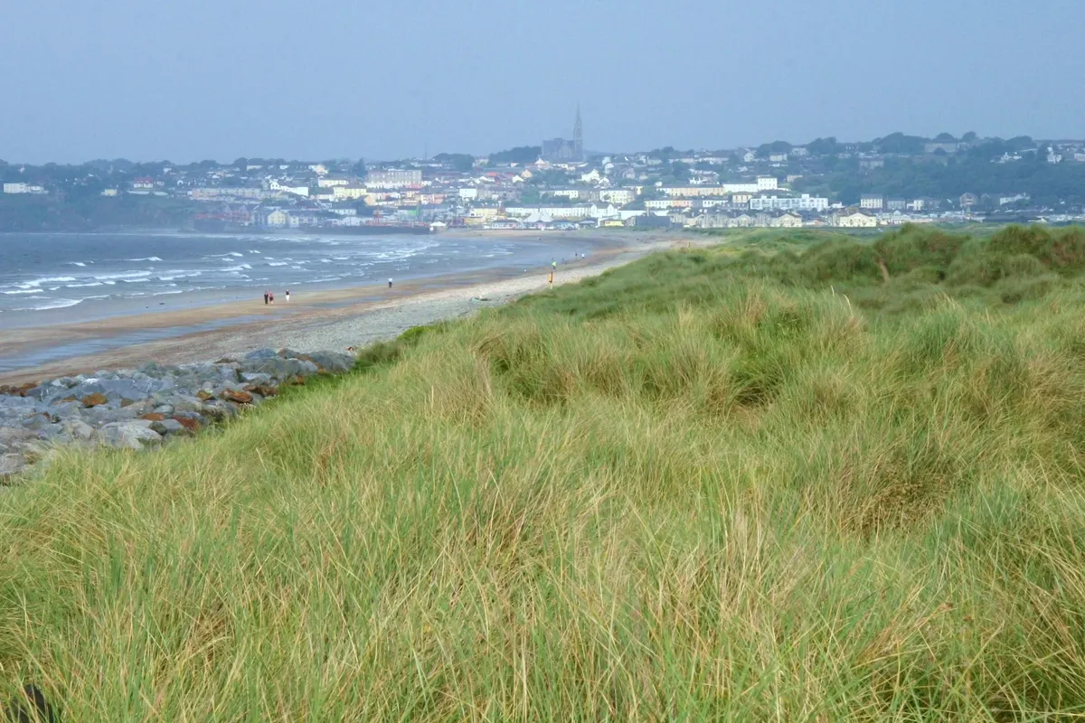 Tramore town on the hillside above its long sandy beach, seen from the dunes across Tramore Bay